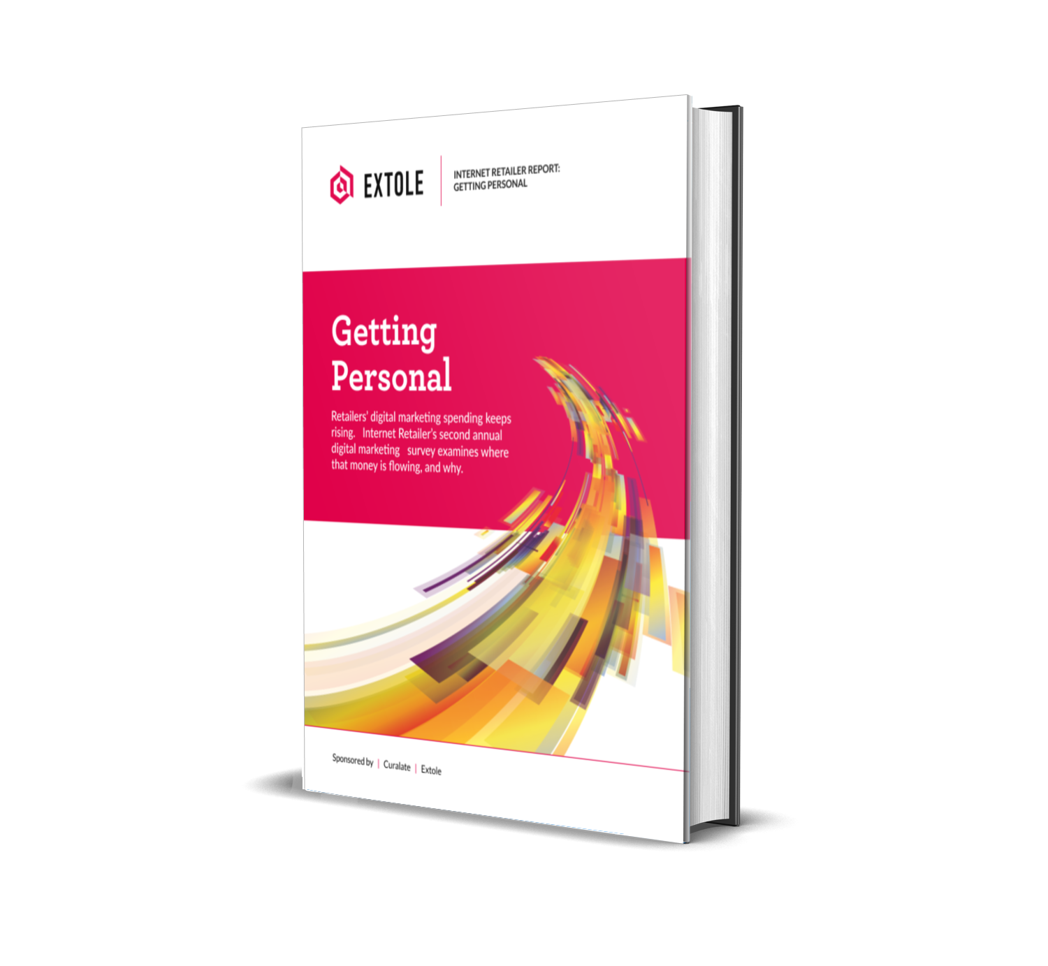 Cover of Internet Retailer Report: Getting Personal
